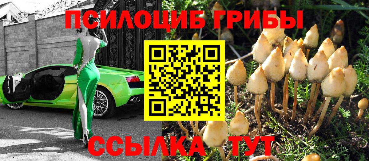 Галлюциногенные грибы прущие грибы Волжск