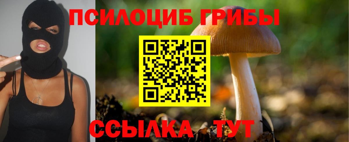 Псилоцибиновые грибы ЛСД  Галлюциногенные грибы мухоморы  где можно купить   Волжск  Вход с VPN 